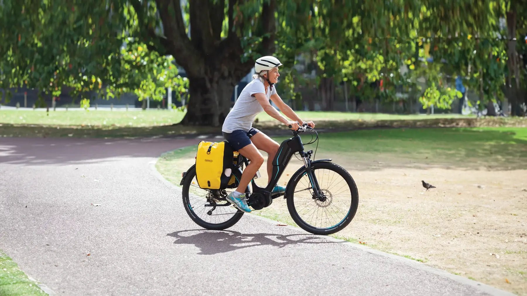 E-Bike Accessories - Electrify NZ