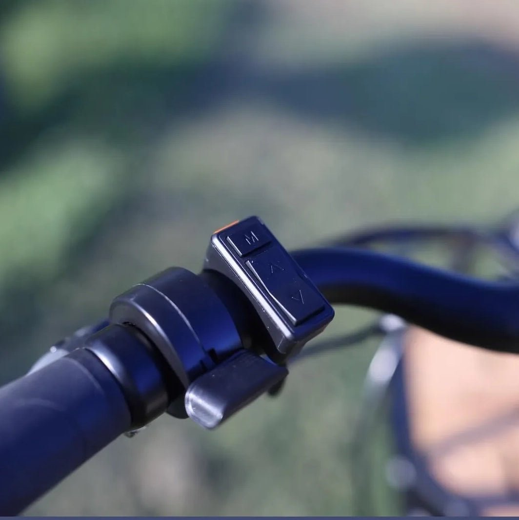 Black Roam ST e - bike - City and Commuter - Black - Electrify NZ