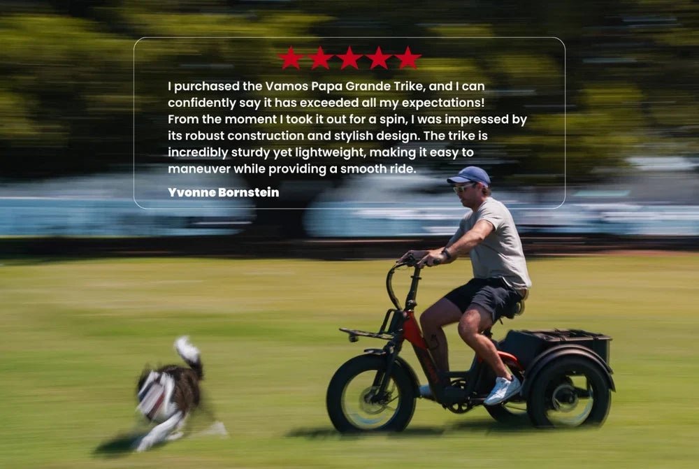 Vamos Papa Grande Pro E-Trike - Electrify NZ